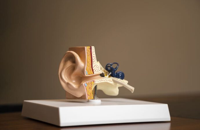 Relixen Oil – Die innovative Lösung für eine gründliche Ohrenreinigung und verbessertes Gehör